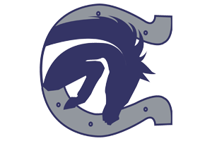 Champion High School
