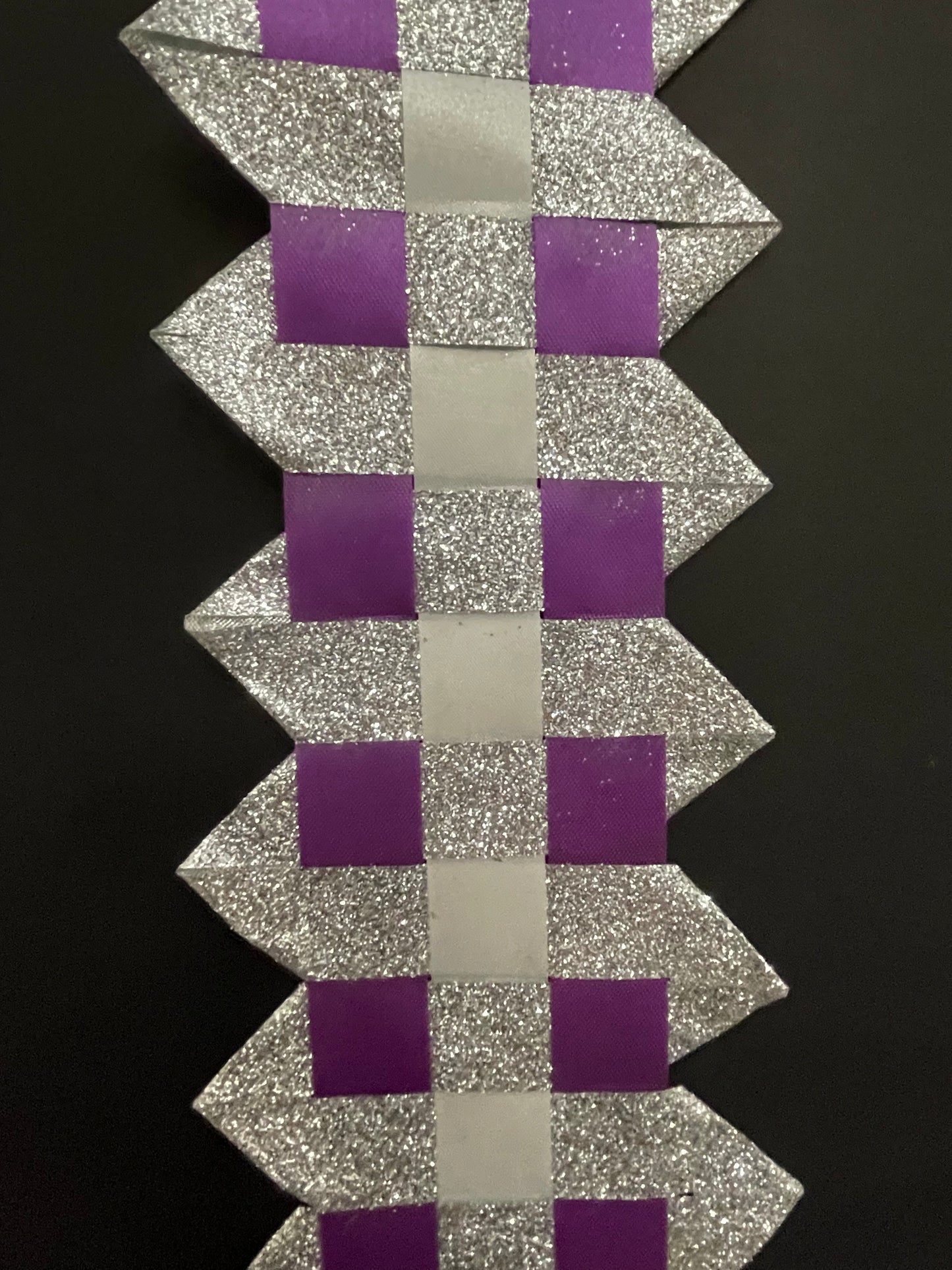 Spirit of Texas, Purple and Silver- Braid