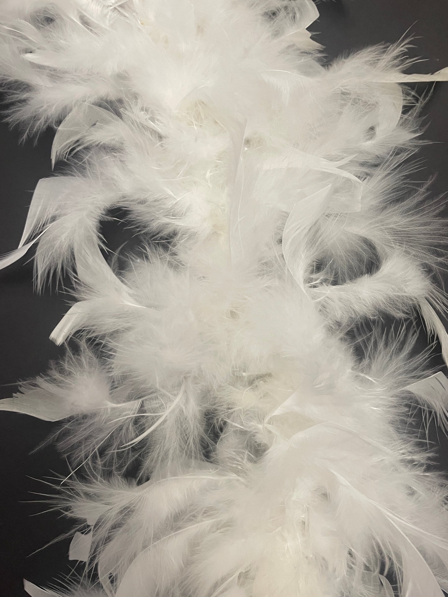 White Feathered Boa, Garter