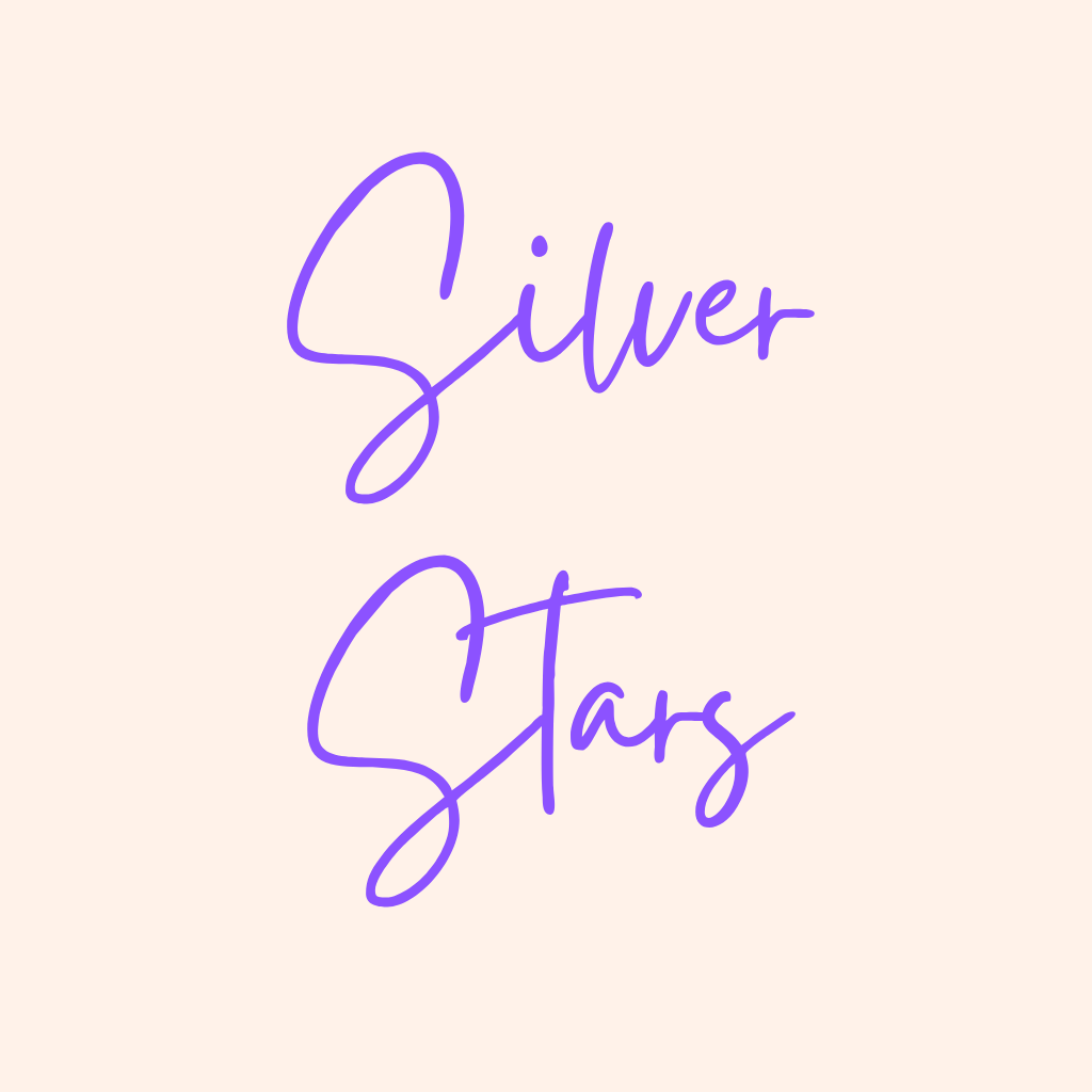 Silver Star Assembled Mum